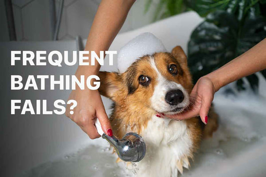 The Sebum Rebound Effect: Why Frequent Bathing Fails