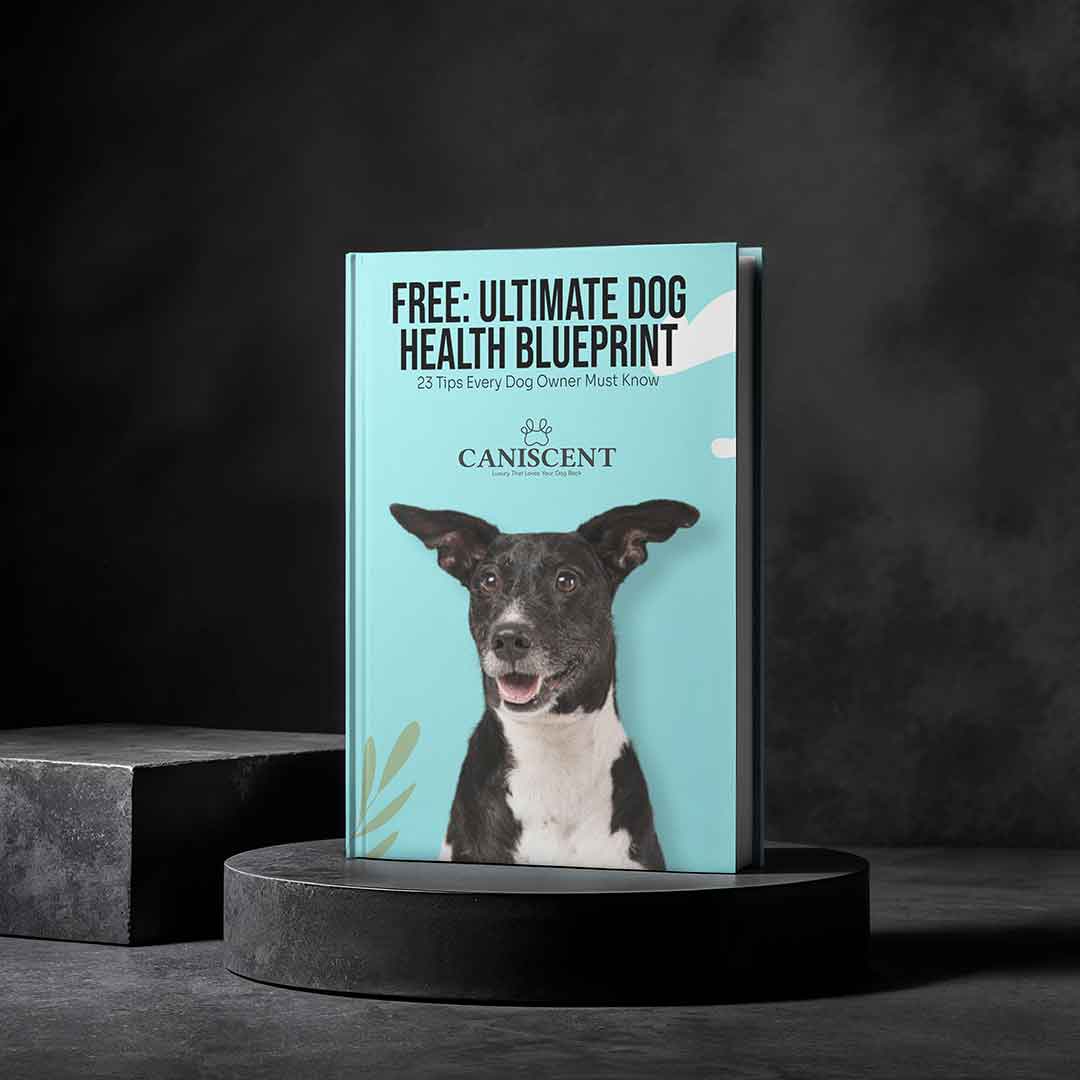 FREE: Ultimate Dog Health Blueprint